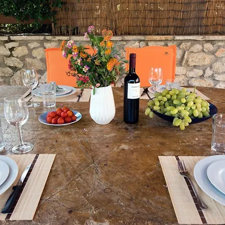 Palmier Villa Barbati