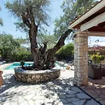 Palmier Villa